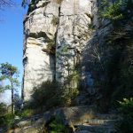 cliff with trees at the bottom