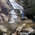 waterfall with logs at the bottom