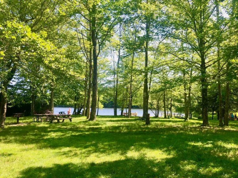 18 of the Best Places to Camp on the East Coast (2024) Stuck on the Go