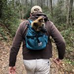 man carrying dog in a backpack while tent camping with dogs