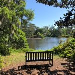 bench in front of pond