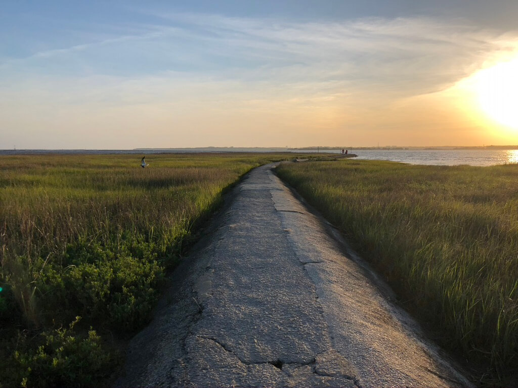 path through marsh at sunset