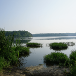 lake with patches of grass