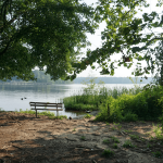 bench in front of lake
