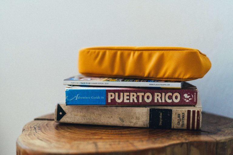stacked books on a tree stump