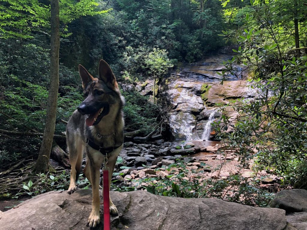 Setrock creek falls