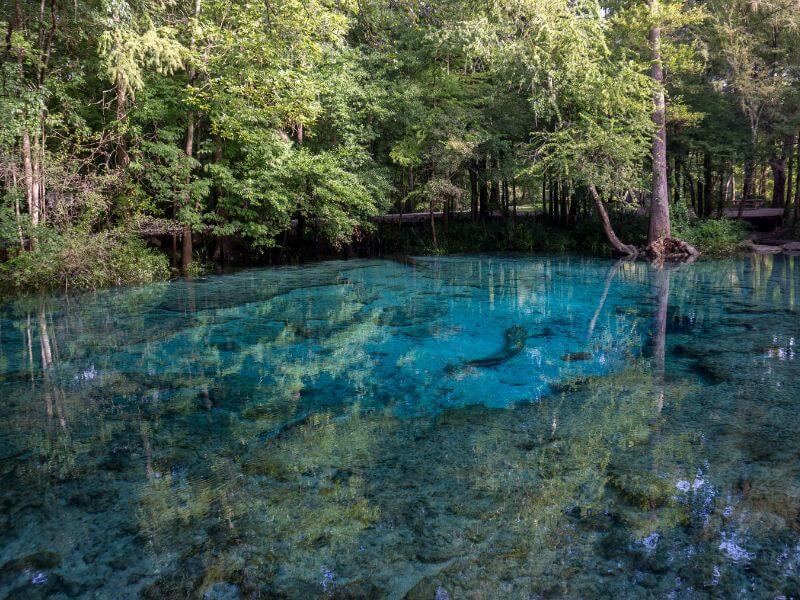 clear blue water at Ginnie Springs