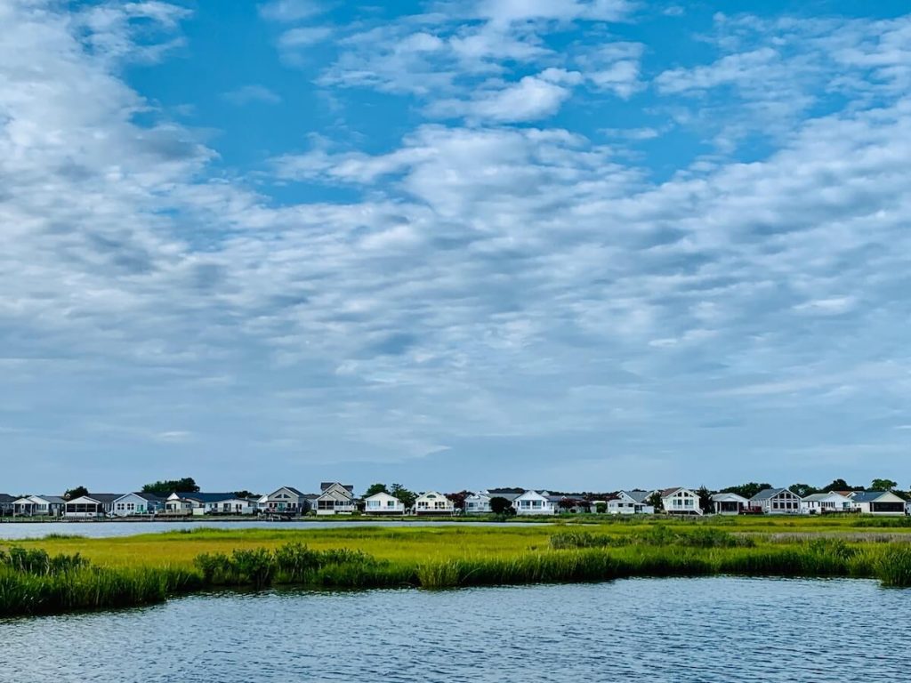 houses behind a marsh