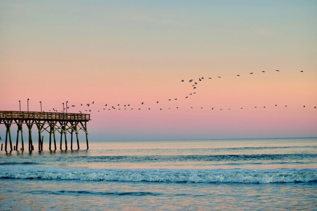 Birds circling the pier at sunrise.