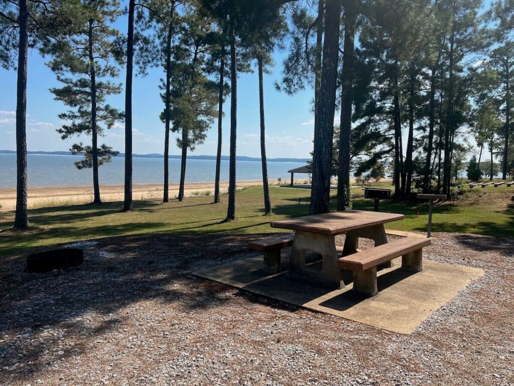 picnic table among trees beside the beach