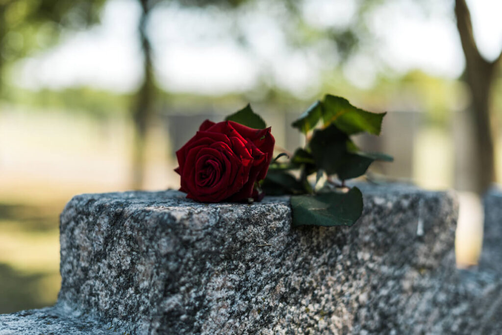 Rose lying on a tombstone. You'll walk through a cemetery on this Asheville ghost tour.