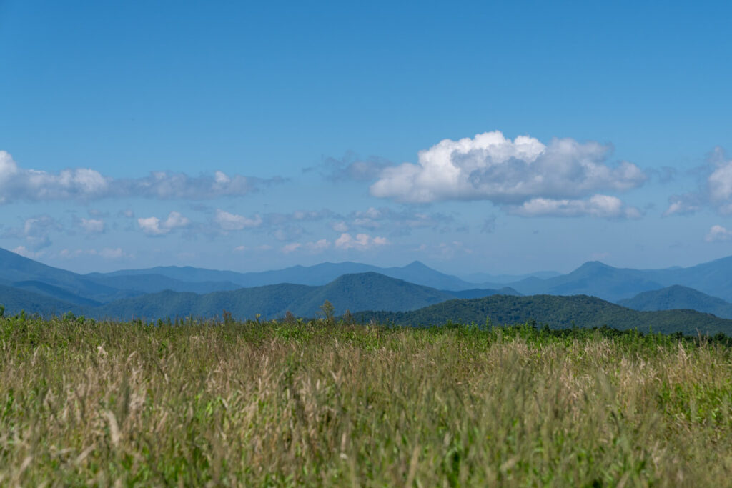 Mountain view in the distance across a large meadow along some of the best hiking trails near Johnson City.