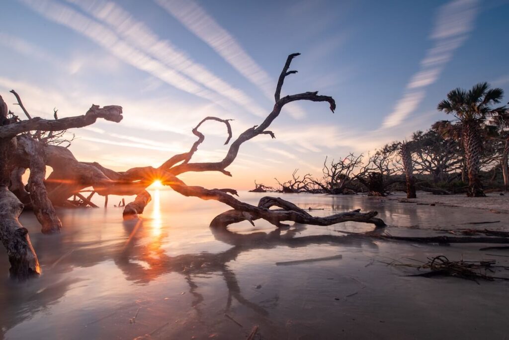 Sun peeking through some driftwood as it rises on one of the closest beaches to Asheville.