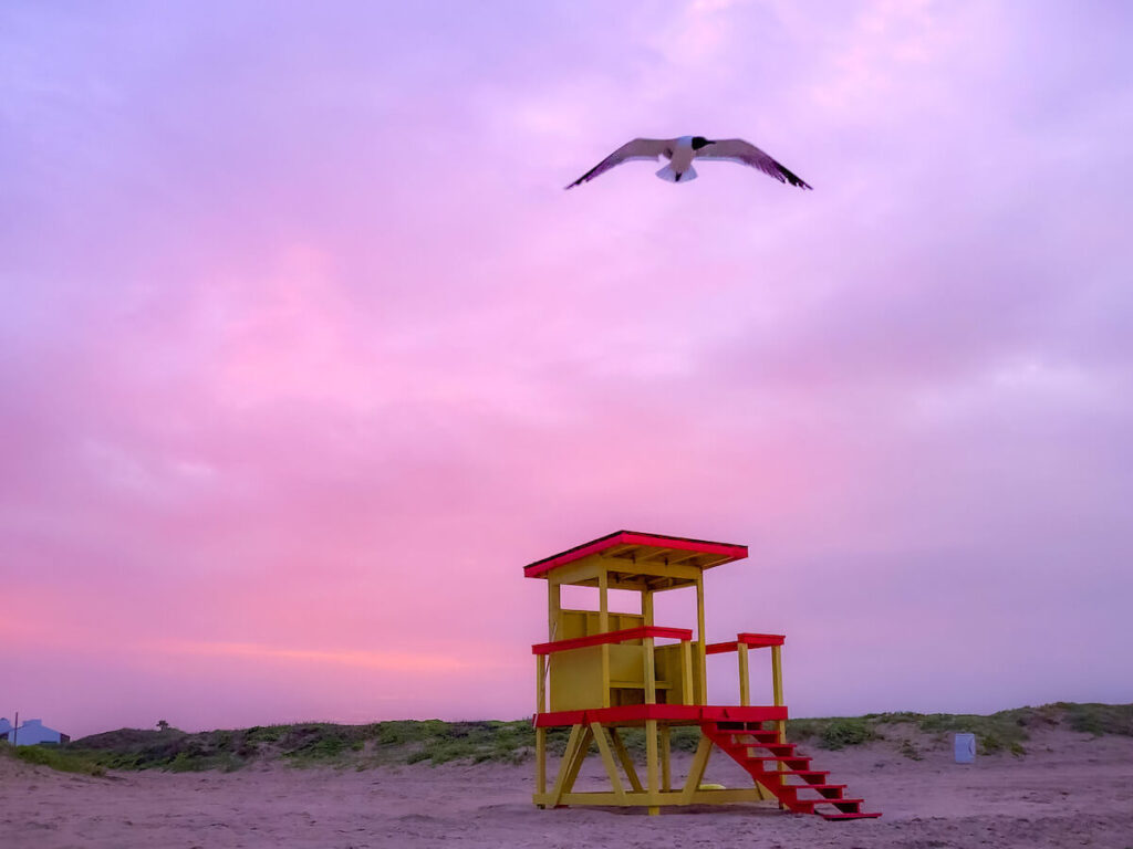 Lifeguard stand with seagull flying above it and pink sunset in the background.