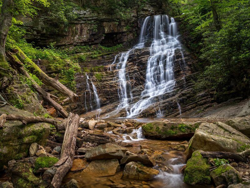 Cascading waterfall that fans out with fallen logs and rocks at the base and moss and ferns surrounding.