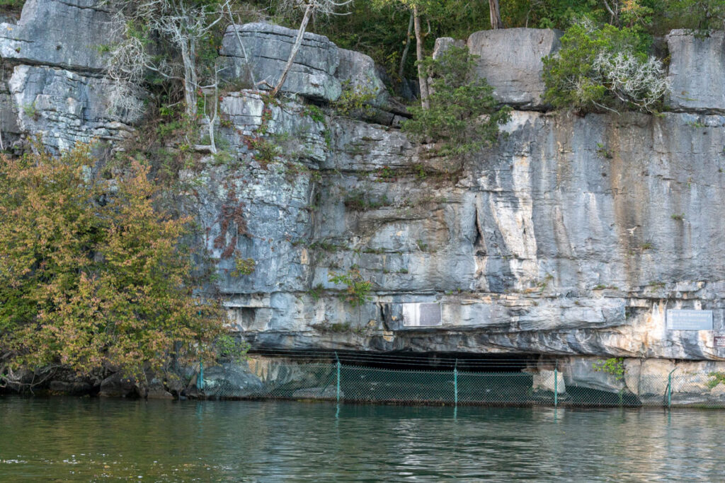 Rocky bluff with a small cave below. Watching the bats come out is one of the best things to do in Guntersville, AL.