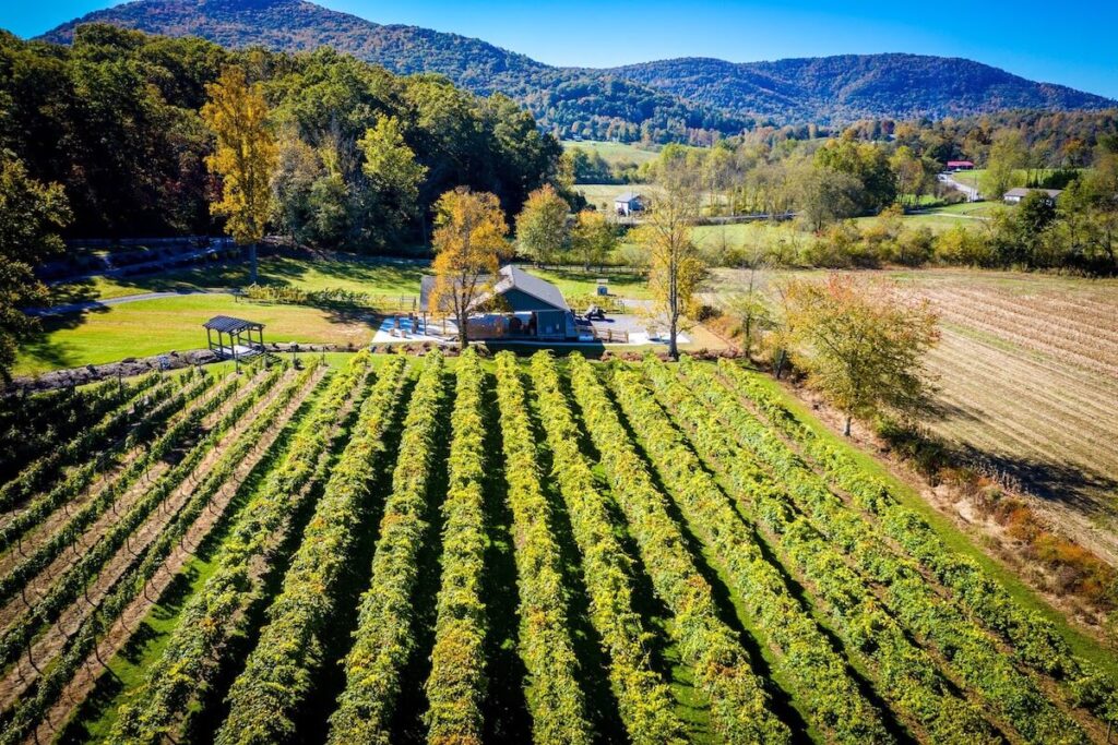 aerial view of vineyards and winery with mountains in the background