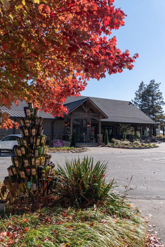 wine bottle tree under tree with red leaves in front of Burntshirt, one of the best wineries near Hendersonville