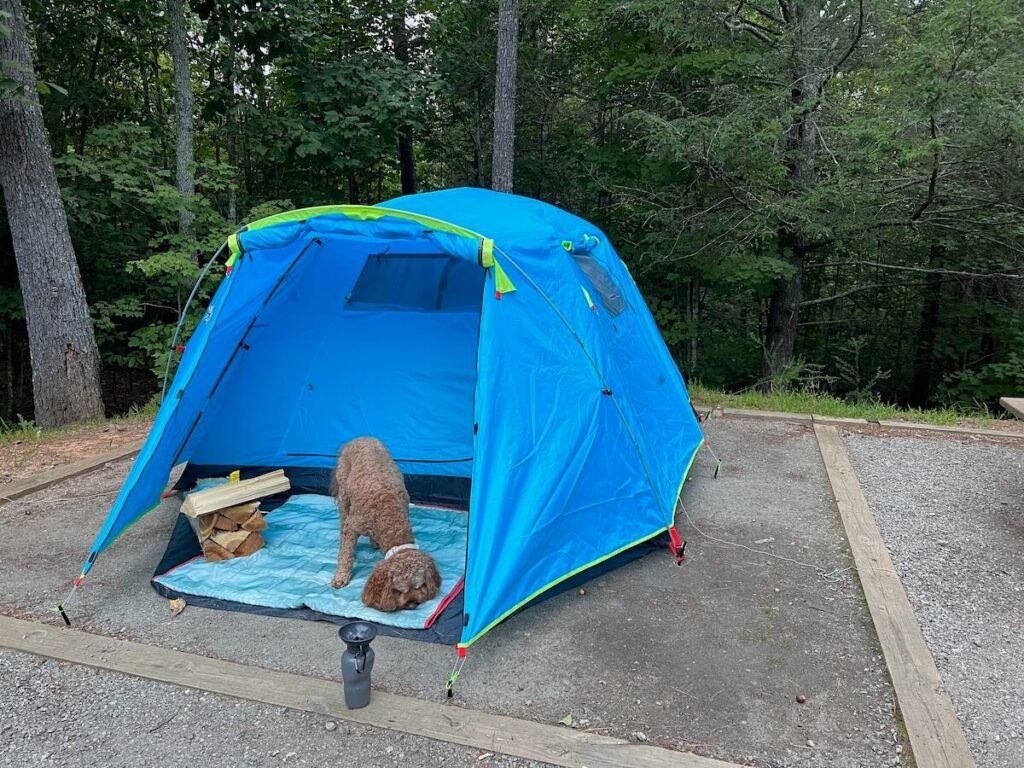 tent set up at one of the campgrounds near Asheville with a dog an firewood in the vestibule