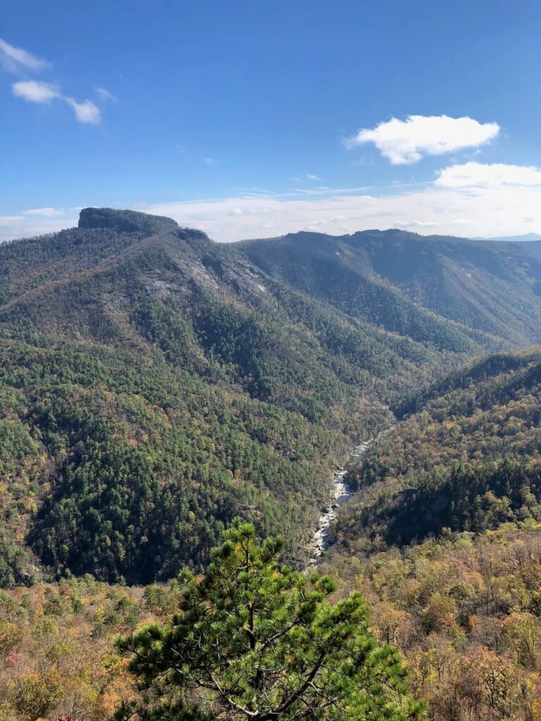 view of Linville Gorge near one of the campgrounds near Asheville, NC
