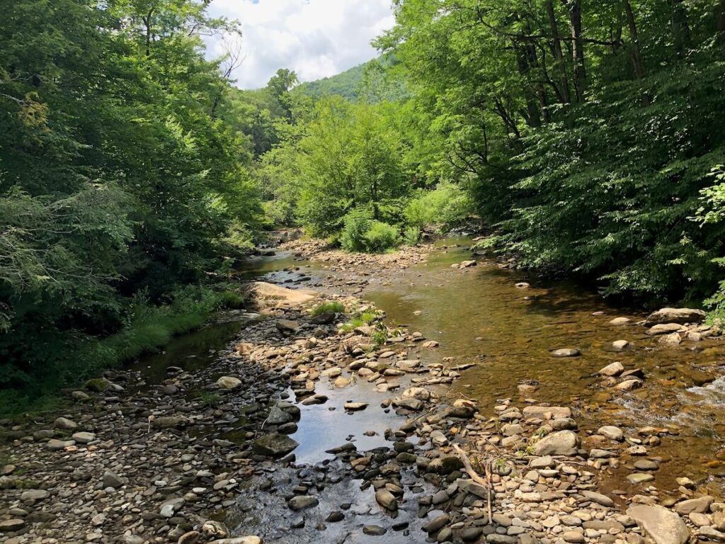 rocky river bed with trees lining the side