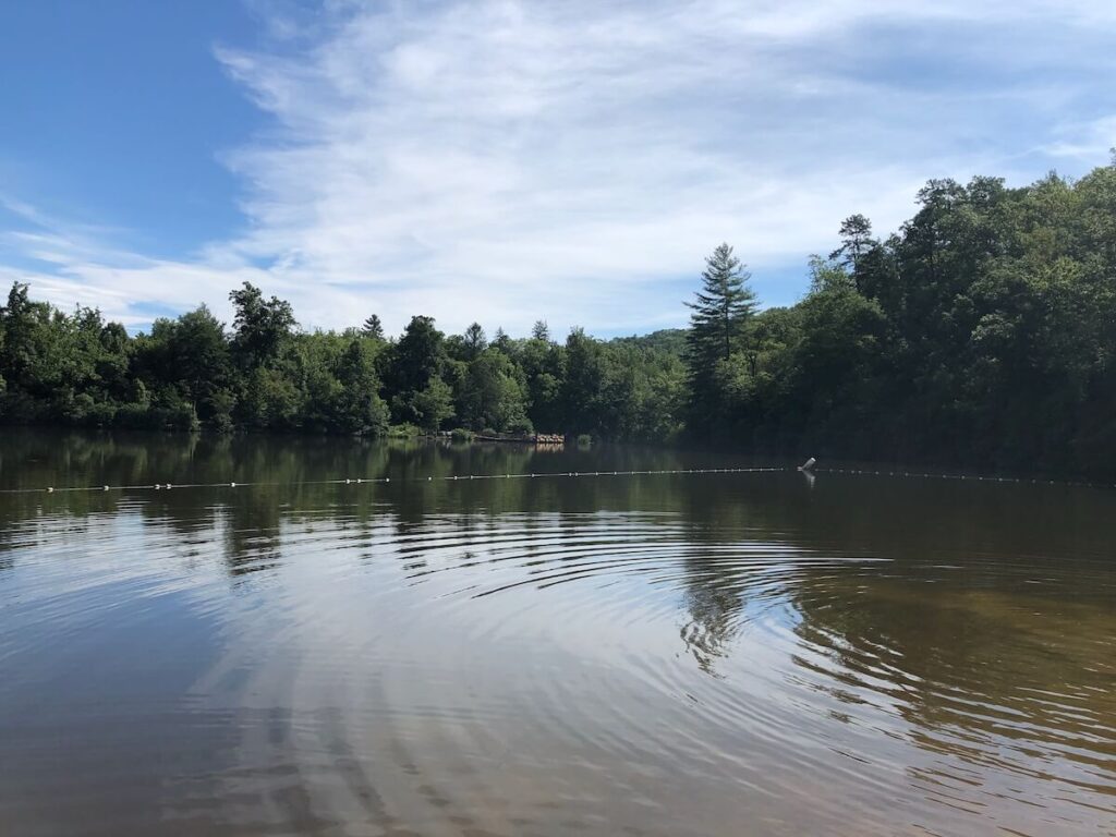 Tree lined lake at one of the campgrounds near Asheville