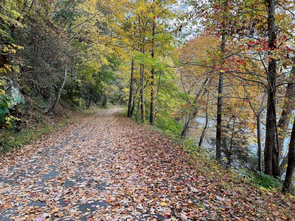 Bike path running along the New River in the fall with fallen leaves on the ground.