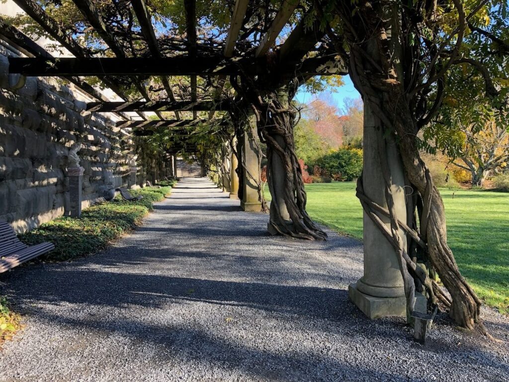 A pergola built into the side of a stone wall with large stone columns on the opposite side. Vines are growing up and over the pergola.