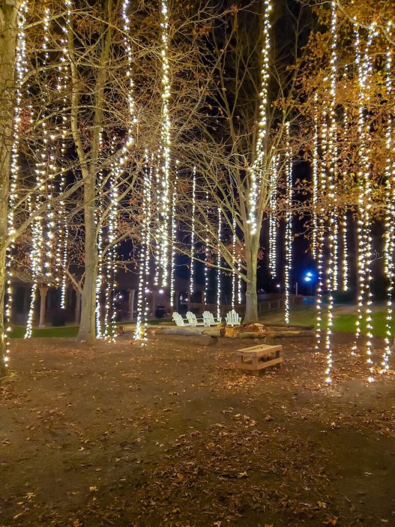 Christmas lights hanging down from the trees in Antler Hill Village with Adirondack chairs below.