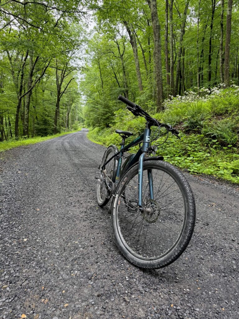 bicycle on a gravel road through a forest